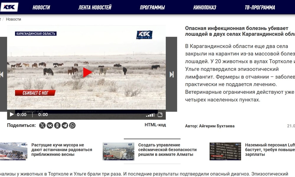 Лимфангит